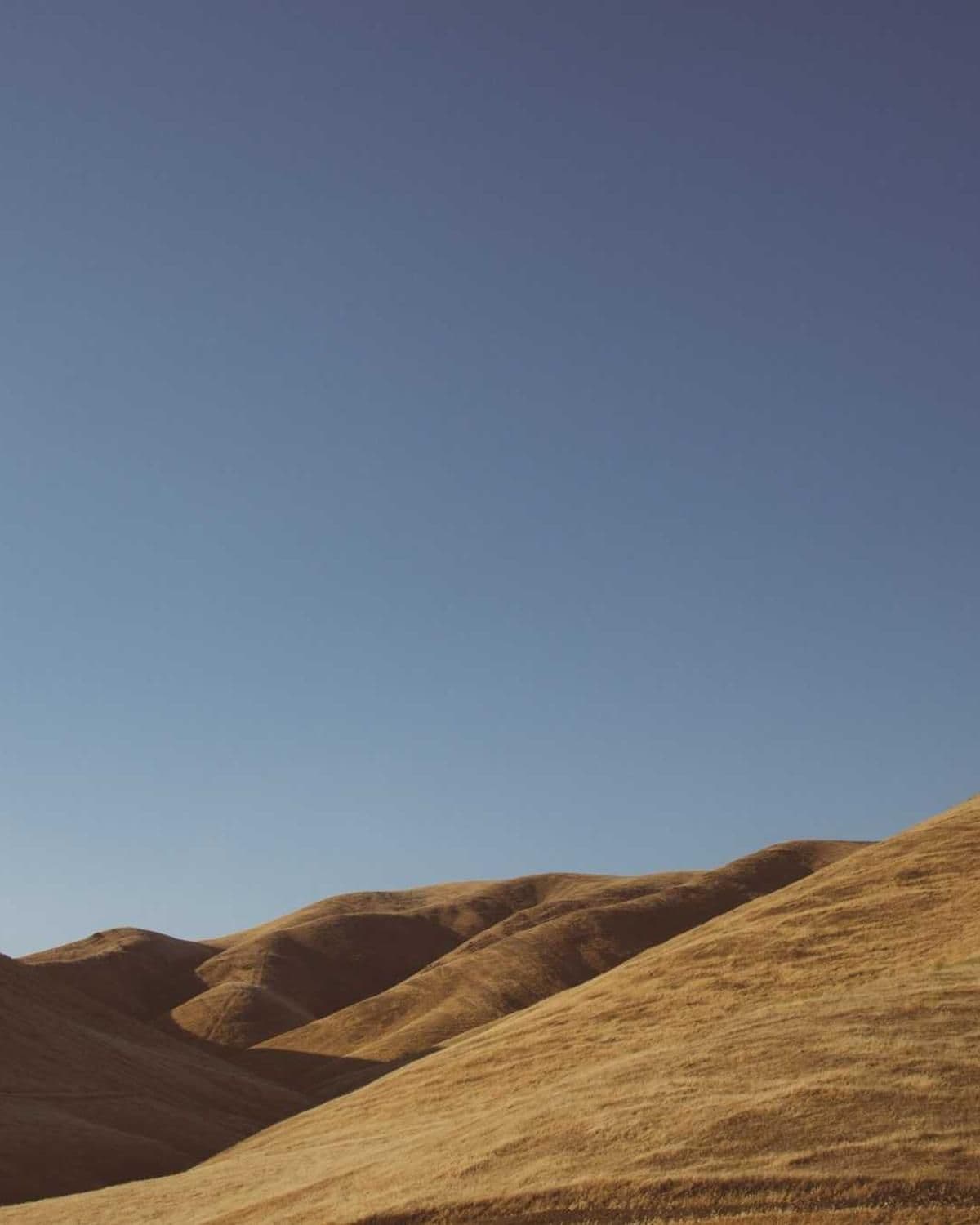 Placeholder — nay-photo-foretag-1