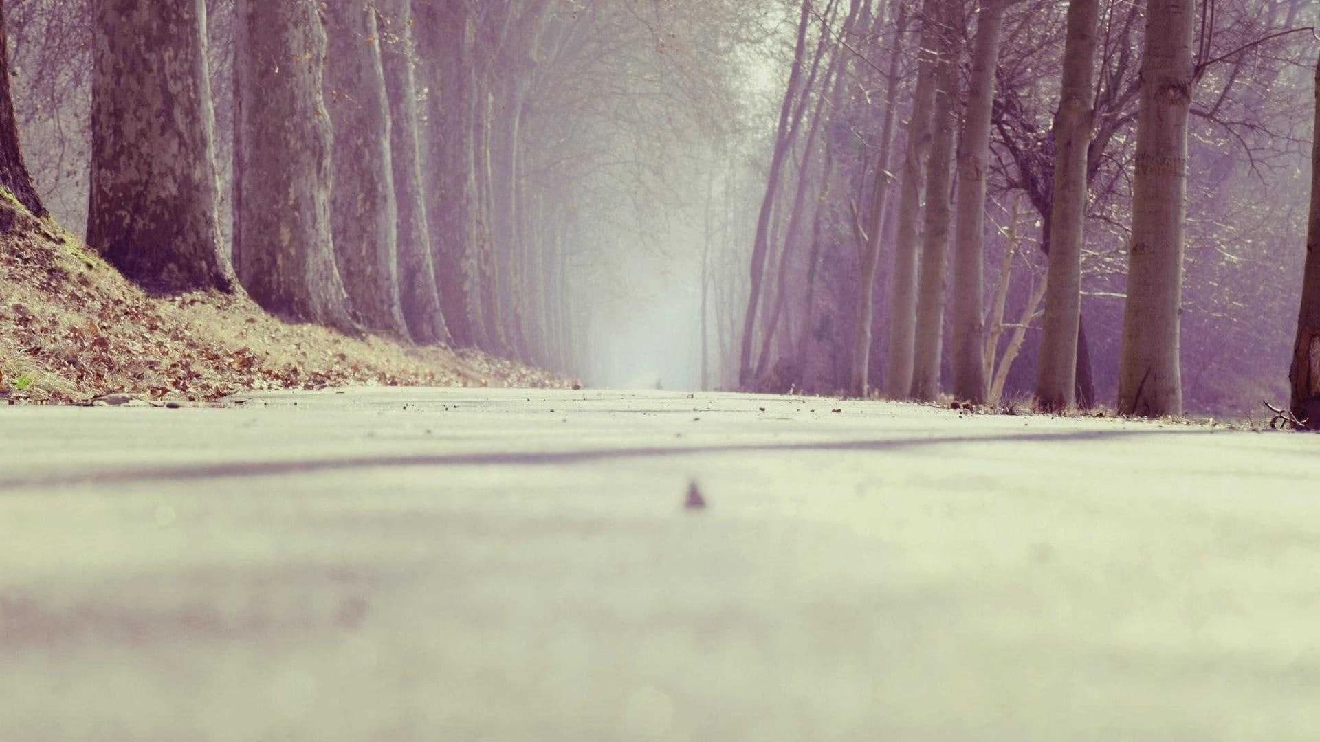Placeholder — filmstill 3