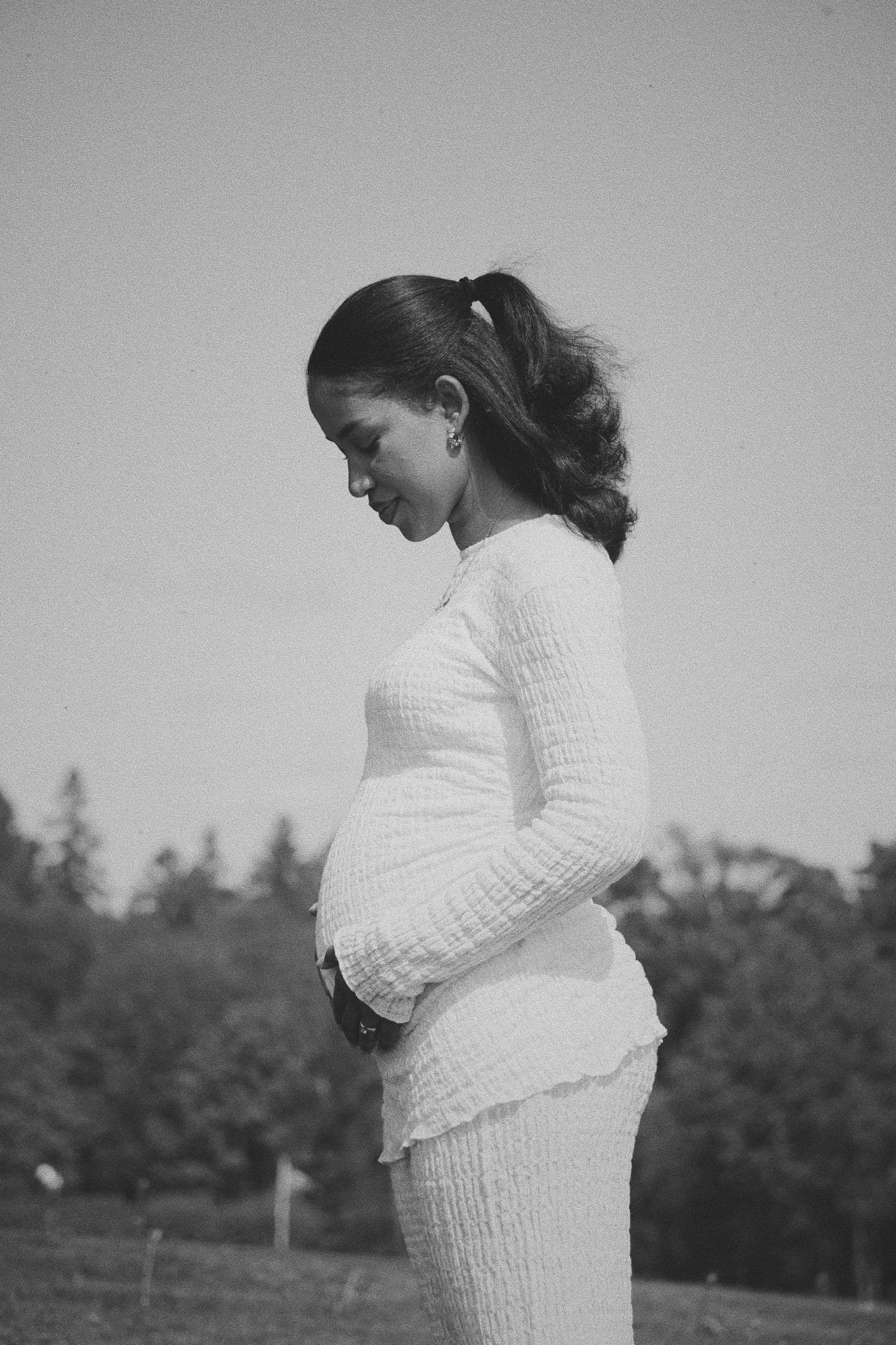gravid